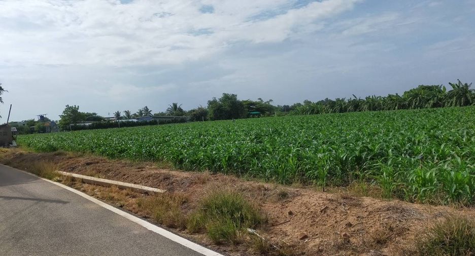 出售 土地 在 Tha Muang, Kanchanaburi