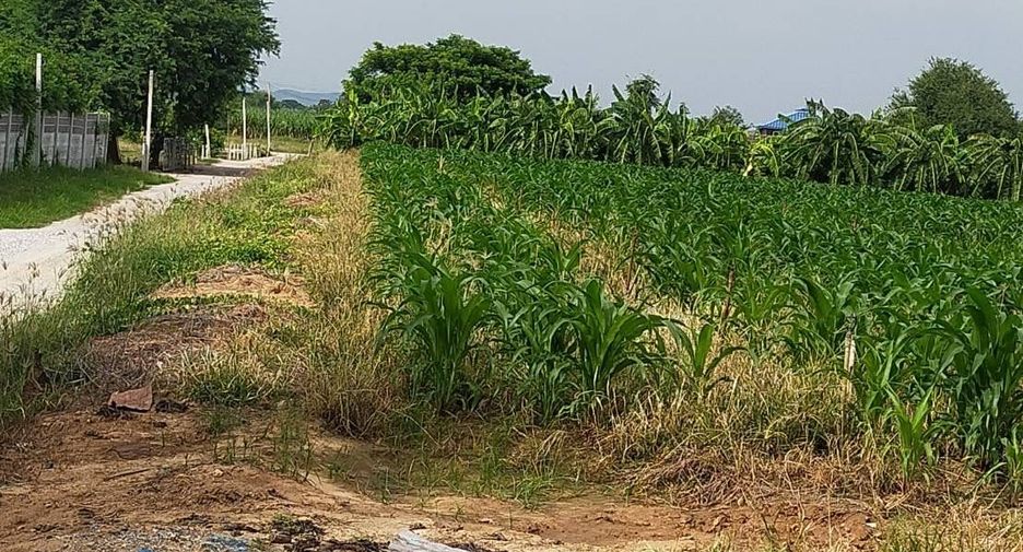出售 土地 在 Tha Muang, Kanchanaburi