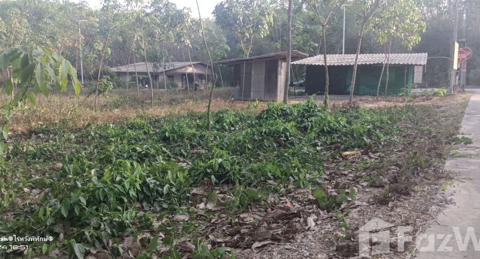 For sale land in Klaeng, Rayong