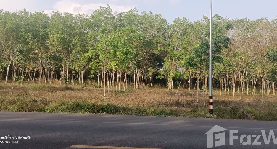For sale land in Klaeng, Rayong