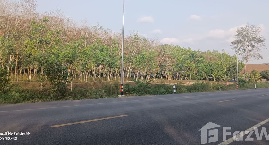 For sale land in Klaeng, Rayong