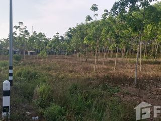出售 土地 在 Klaeng, Rayong