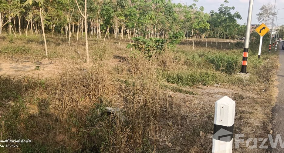 For sale land in Klaeng, Rayong