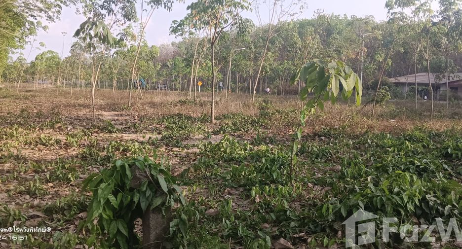 For sale land in Klaeng, Rayong