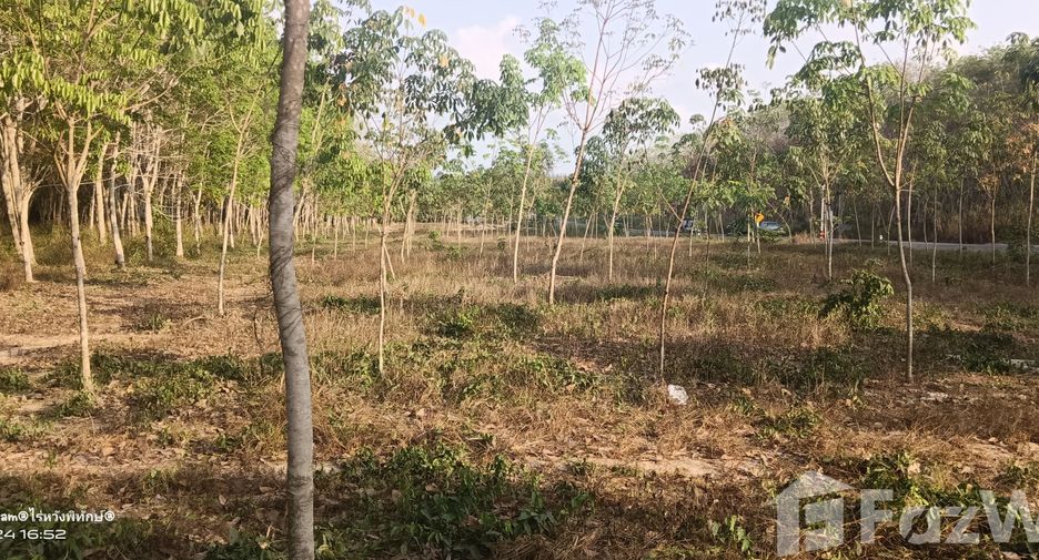 For sale land in Klaeng, Rayong