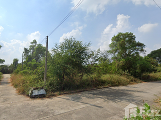 For sale land in Sam Khok, Pathum Thani