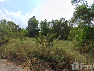 For sale land in Sam Khok, Pathum Thani