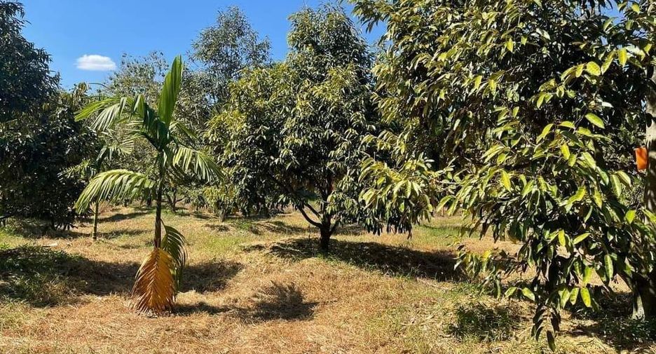 For sale land in Pluak Daeng, Rayong