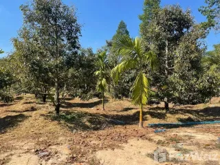 出售 土地 在 Pluak Daeng, Rayong