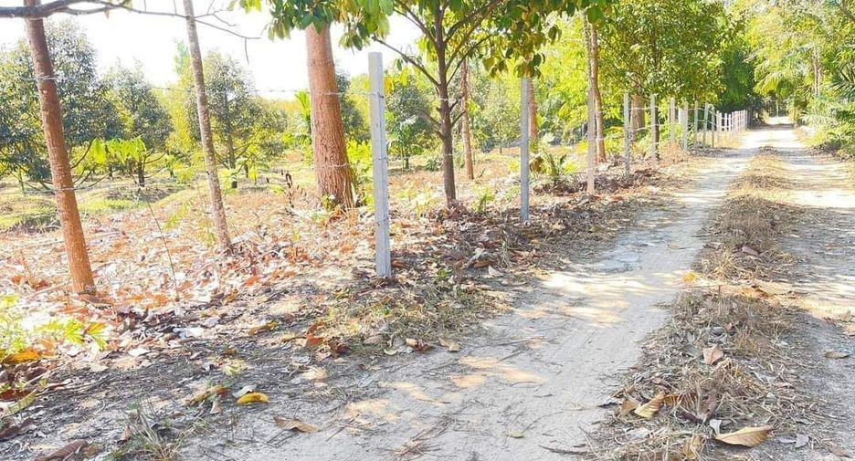 For sale land in Pluak Daeng, Rayong