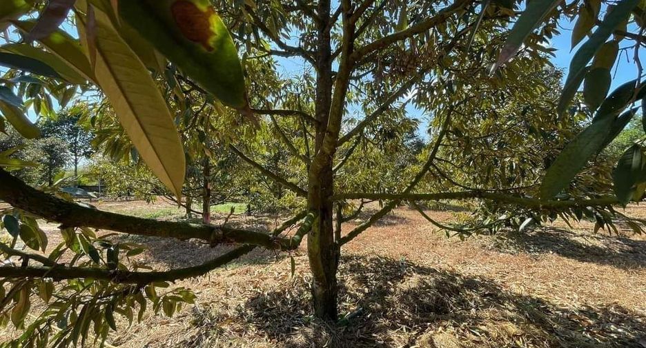 For sale land in Pluak Daeng, Rayong