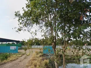 For sale land in Sam Khok, Pathum Thani