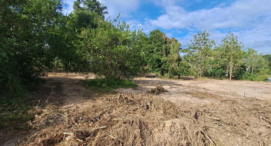Продажа Участок в Mueang Nakhon Nayok, Накхоннайок
