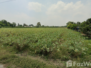Grundstück zum Kauf in Don Tum, Nakhon Pathom