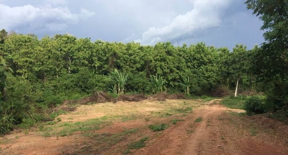 For sale land in Phu Phiang, Nan