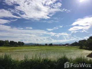 Продажа Участок в Phu Phiang, Nan