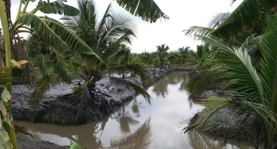 For sale land in Nong Suea, Pathum Thani