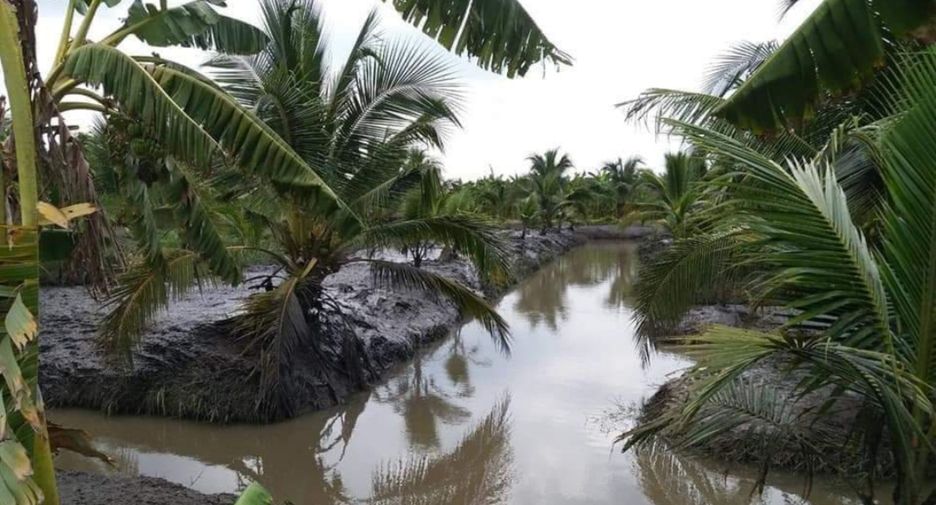 For sale land in Nong Suea, Pathum Thani