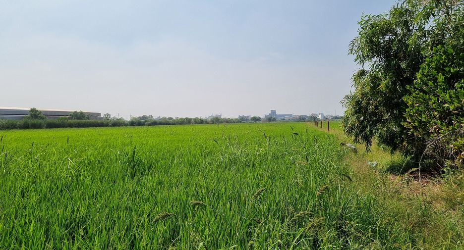 For sale land in Khlong Luang, Pathum Thani