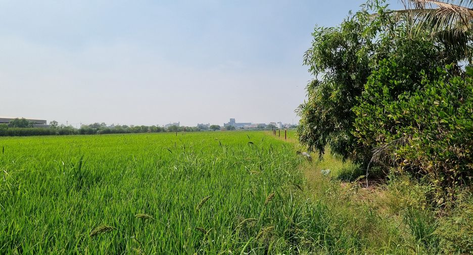 For sale land in Khlong Luang, Pathum Thani