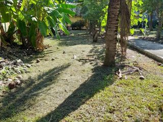 Terreno en venta en Kamphaeng Saen, Nakhon Pathom