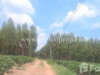 Terreno en venta en Phanat Nikhom, Chonburi