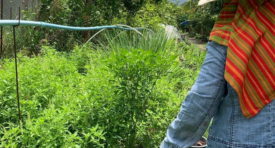 Terreno en venta en Sam Phran, Nakhon Pathom