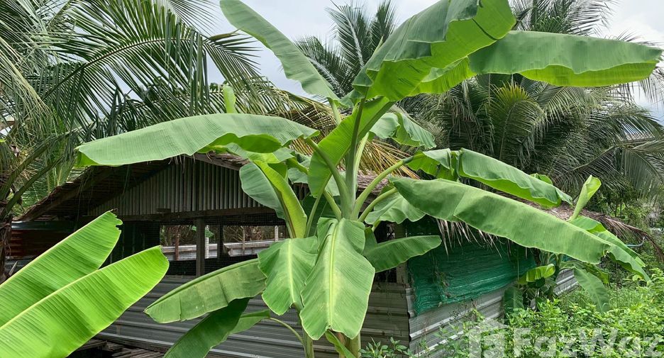 Terreno en venta en Sam Phran, Nakhon Pathom