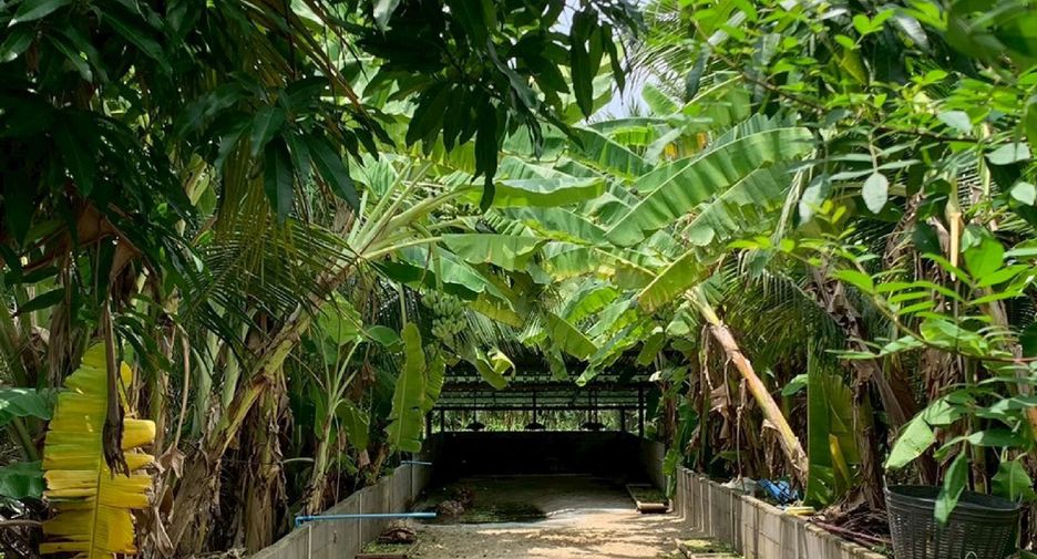 Terreno en venta en Sam Phran, Nakhon Pathom
