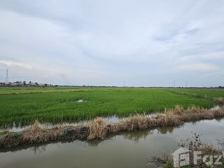 ขาย ที่ดิน ใน พระนครศรีอยุธยา, พระนครศรีอยุธยา