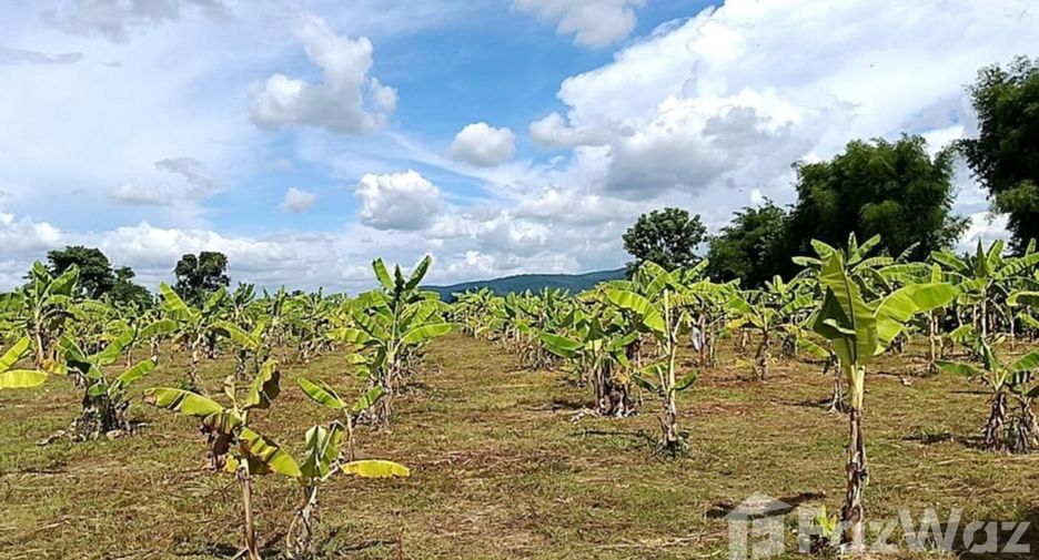 ขาย ที่ดิน ใน เมืองเชียงราย, เชียงราย