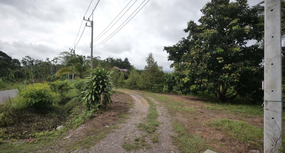 出售 土地 在 Pong Nam Ron, Chanthaburi