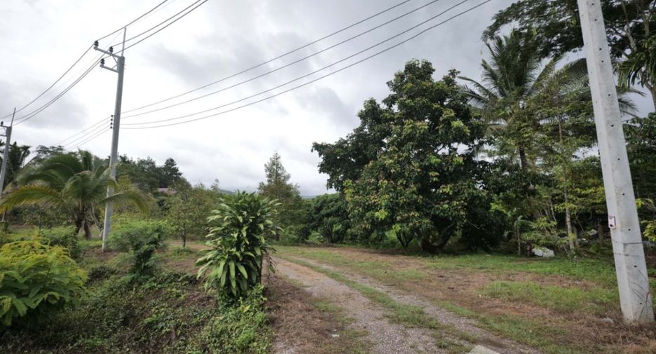 出售 土地 在 Pong Nam Ron, Chanthaburi