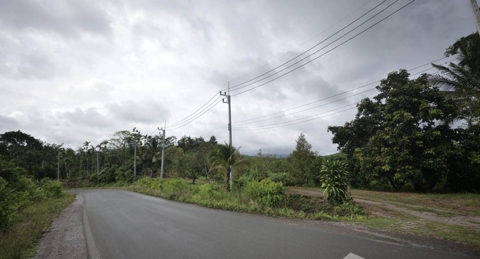 出售 土地 在 Pong Nam Ron, Chanthaburi