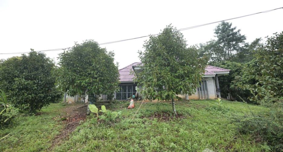出售 土地 在 Pong Nam Ron, Chanthaburi