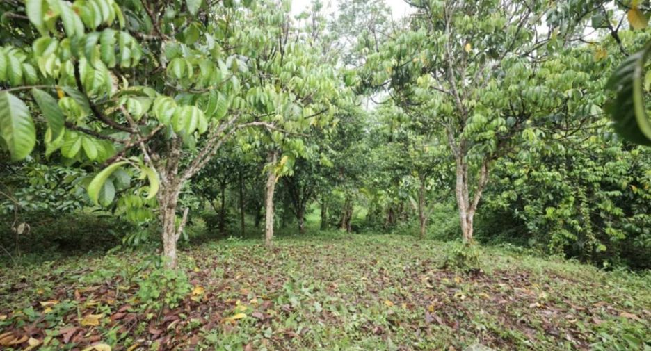 出售 土地 在 Pong Nam Ron, Chanthaburi