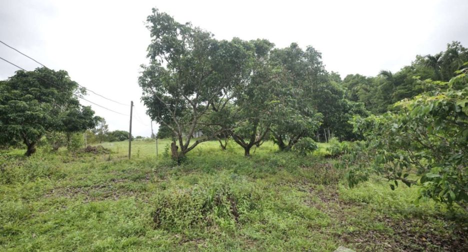 出售 土地 在 Pong Nam Ron, Chanthaburi