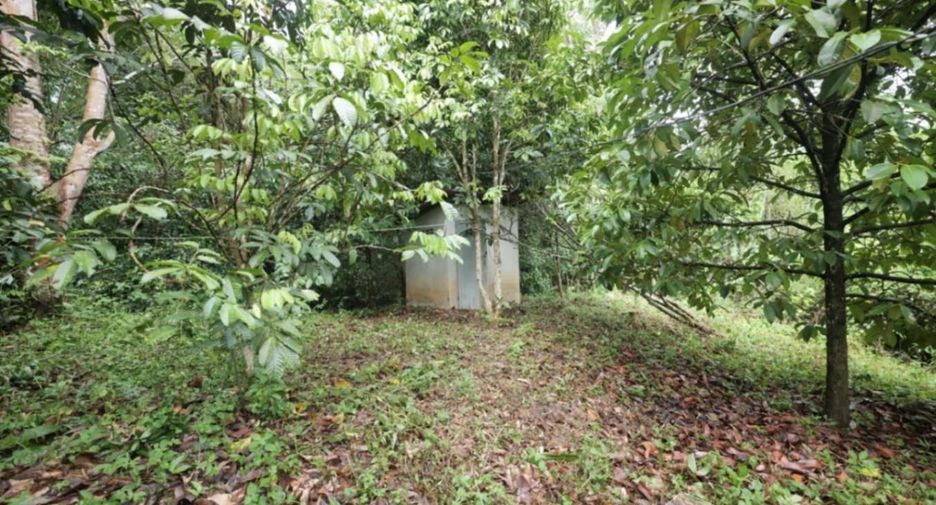 出售 土地 在 Pong Nam Ron, Chanthaburi