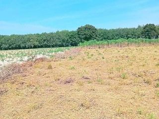 For sale land in Nikhom Phatthana, Rayong