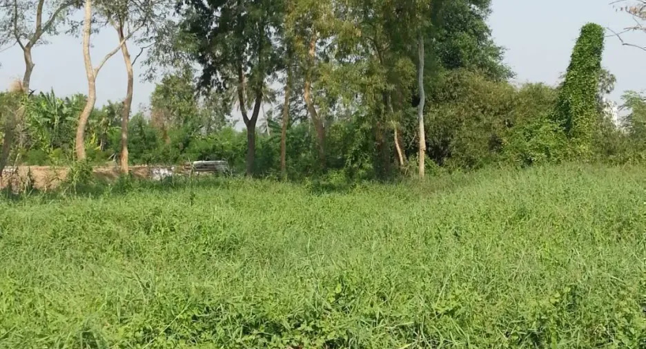 出售 土地 在 Bang Yai, Nonthaburi