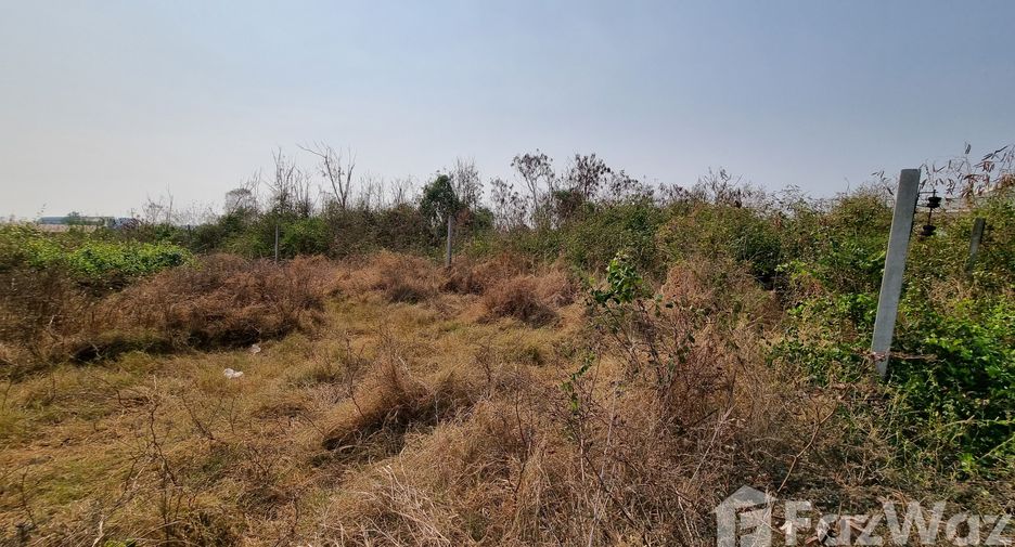 ขาย ที่ดิน ใน เมืองสมุทรสาคร, สมุทรสาคร