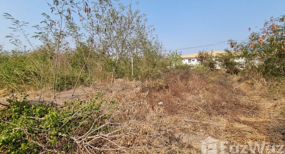 ขาย ที่ดิน ใน เมืองสมุทรสาคร, สมุทรสาคร