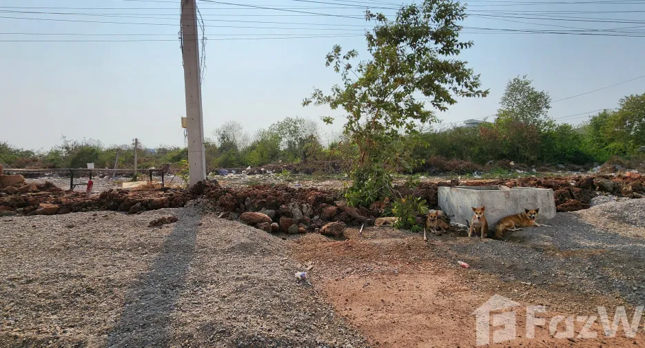ขาย ที่ดิน ใน เมืองสมุทรสาคร, สมุทรสาคร