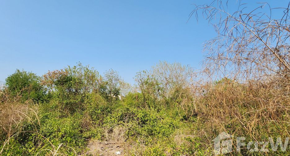 ขาย ที่ดิน ใน เมืองสมุทรสาคร, สมุทรสาคร