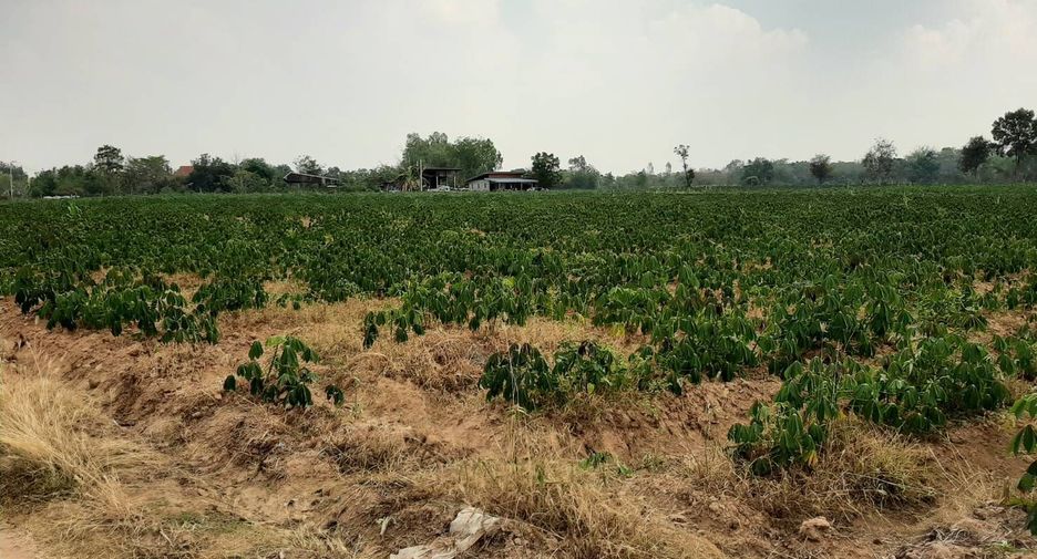 出售 土地 在 Mueang Nakhon Ratchasima, Nakhon Ratchasima