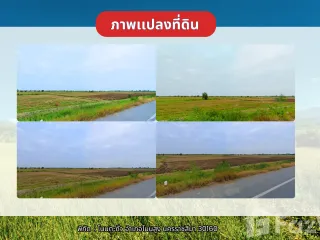 For sale land in Non Sung, Nakhon Ratchasima