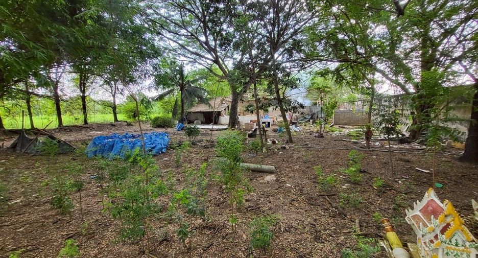 À vendre terrain à Sai Noi, Nonthaburi