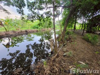 Grundstück zum Kauf in Sai Noi, Nonthaburi