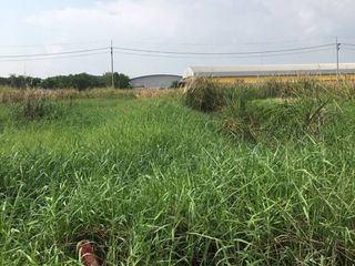 For sale land in Ongkharak, Nakhon Nayok
