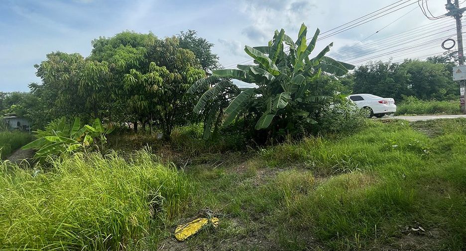For sale land in Bang Yai, Nonthaburi